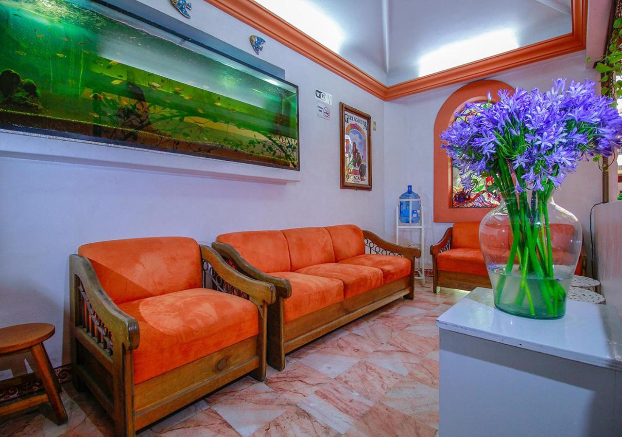 Hotel Villa Alta Oaxaca Ngoại thất bức ảnh